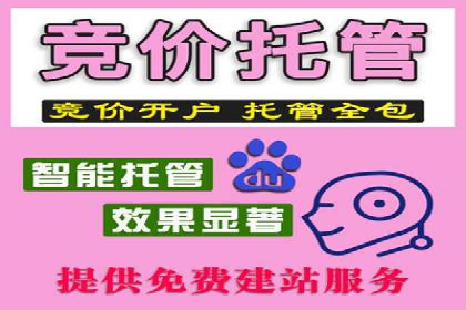 探索SEM竞价代运营公司的服务流程与效果